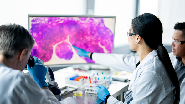 Scientists examining a digital microscope image of tissue samples.