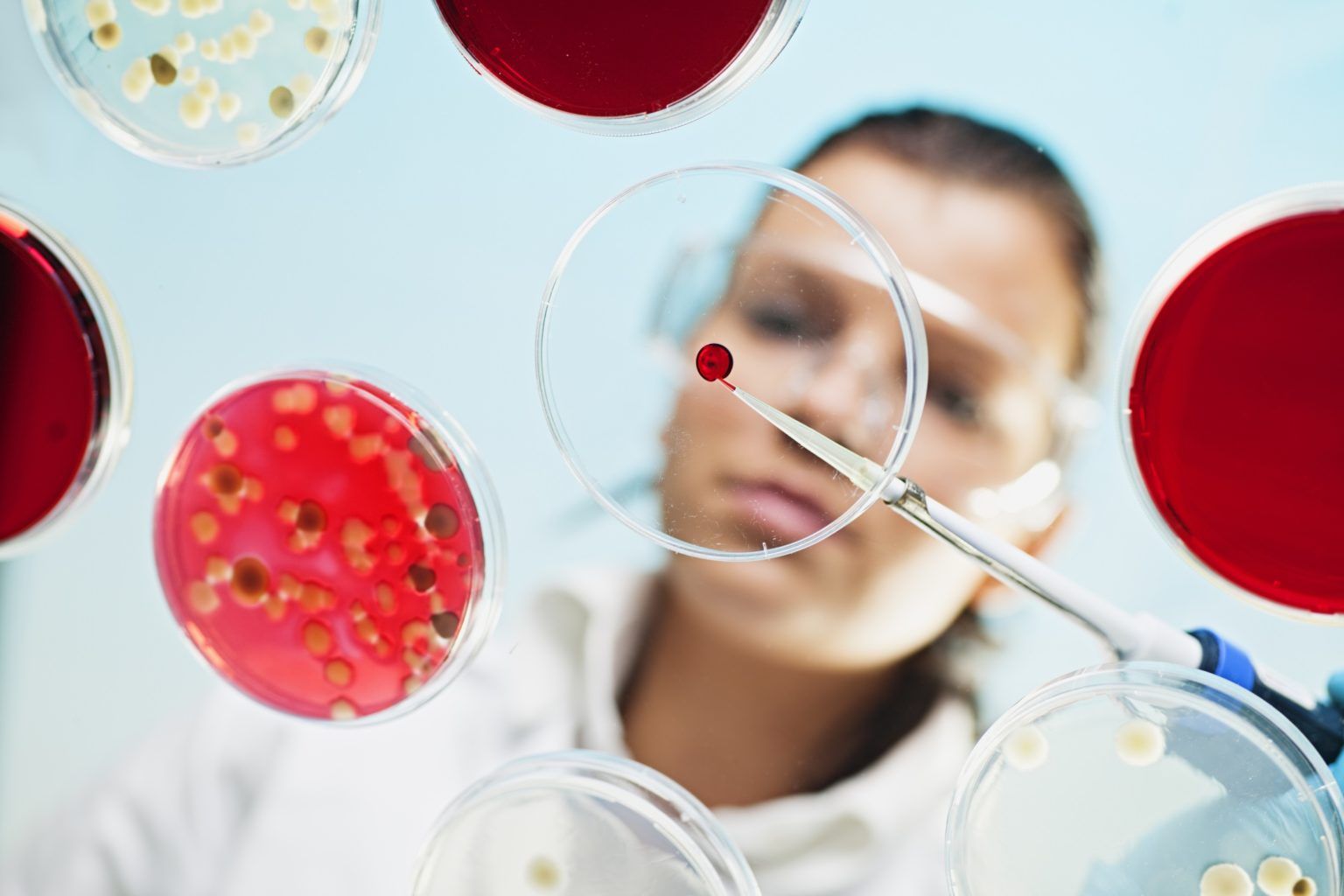 Scientist examining petri dishes with microbial growth in a lab, wearing safety goggles and white coat.