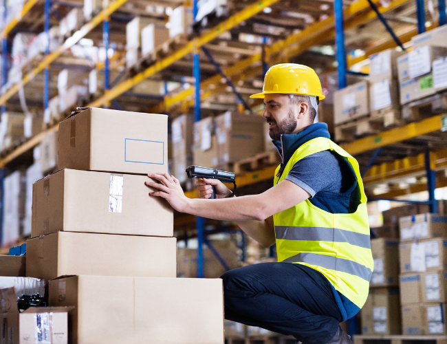 Worker Inspecting the Boxes — Arlington, TX — Pronto Courier Delivery and Logistics