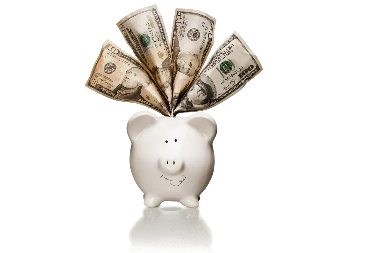 White piggy bank with dollar bills fanned out from the top on a white background