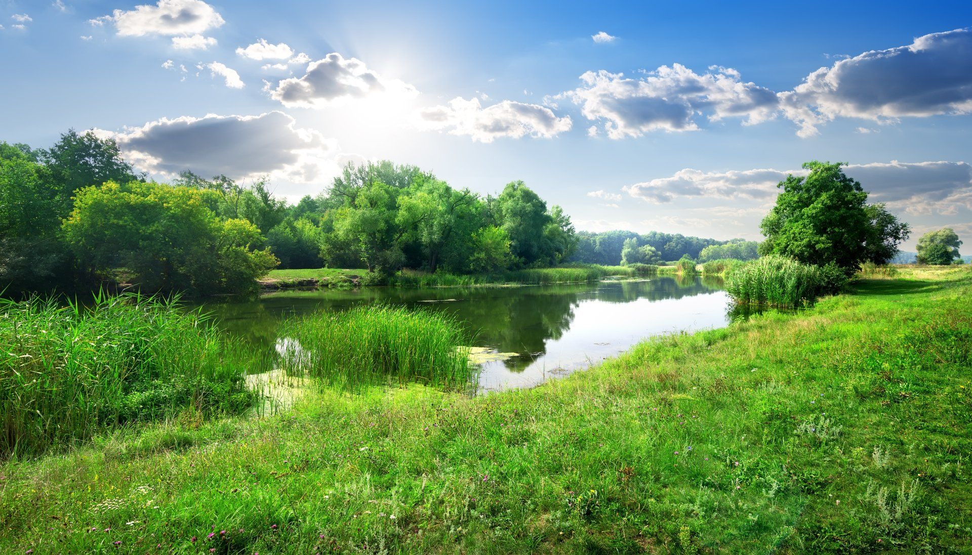 Large acreage — Greenwood, SC — Hilton L Dodgen Auction and Realty