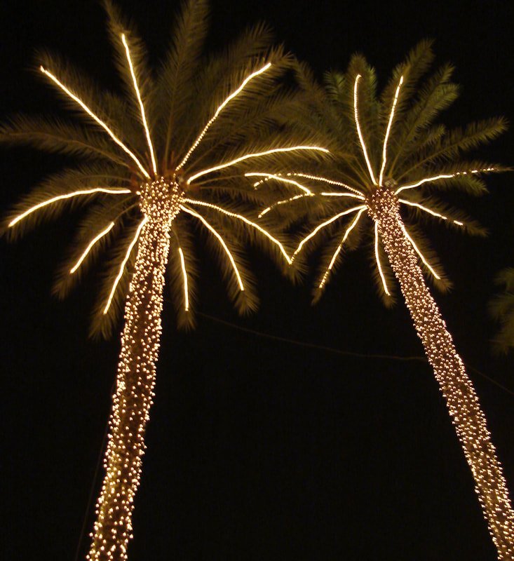 Tree Light Installation, Tree Light Hanging Glasgow