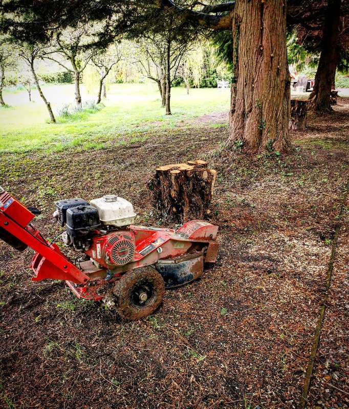 Tree Stump Remover - Instagram