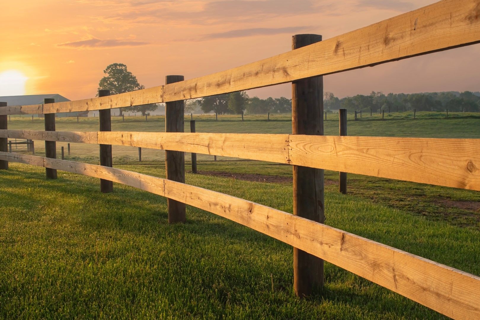 Wooden fence in a grassy field at sunrise, with trees and a soft, orange sky in the background.