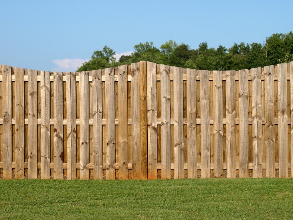 Wooden fence in a yard with green grass and a blue sky, trees in the background.