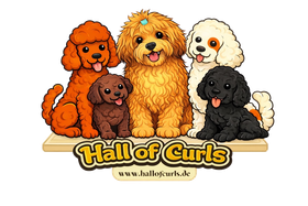 Logo Hall of Curls