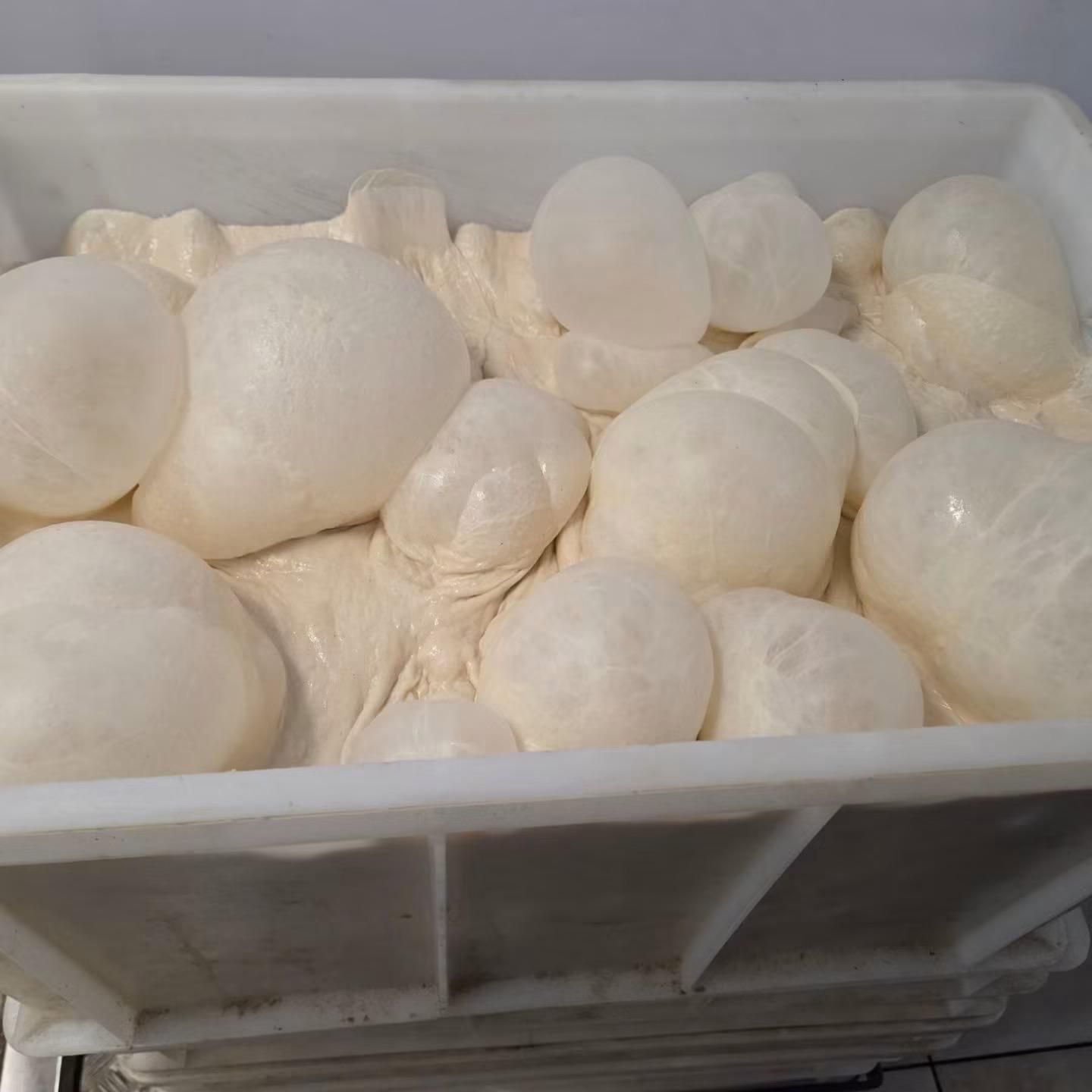 Funghi bianchi ammucchiati in un contenitore di plastica