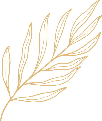 A drawing of a leaf on a white background.