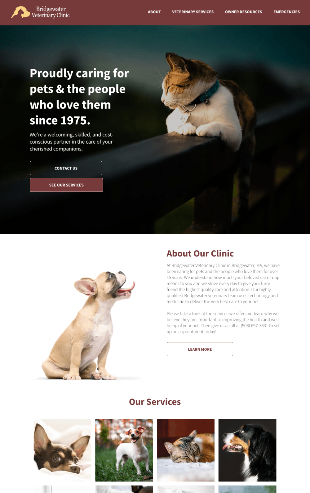 Web design