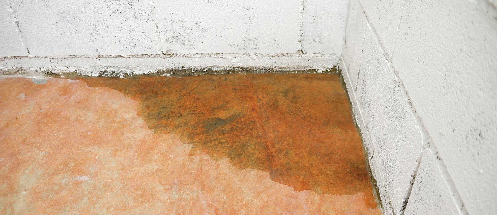 Clogged Toilet Repair