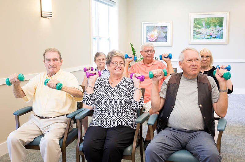 A group of elderly people are sitting in chairs holding dumbbells.