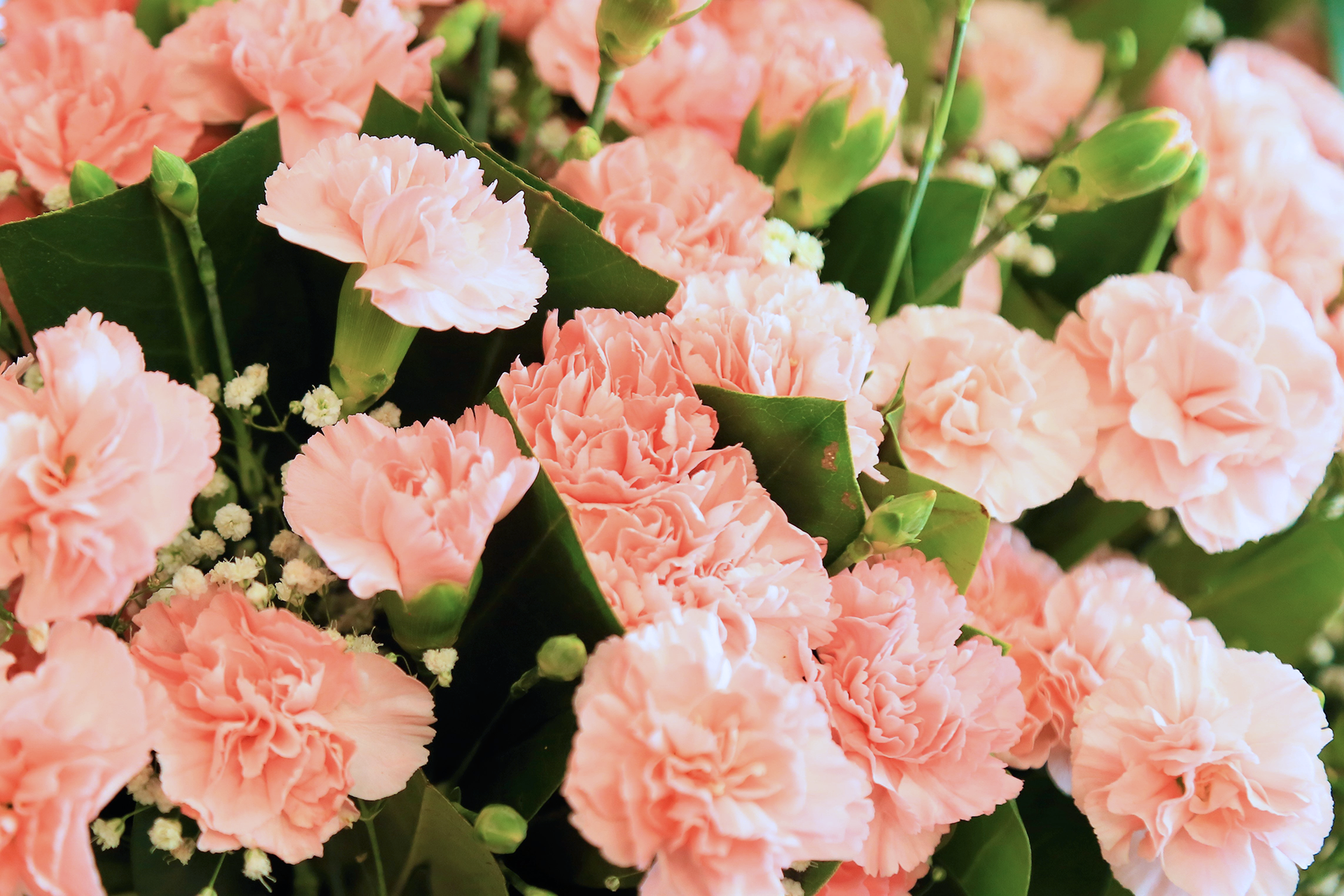 Send Flowers