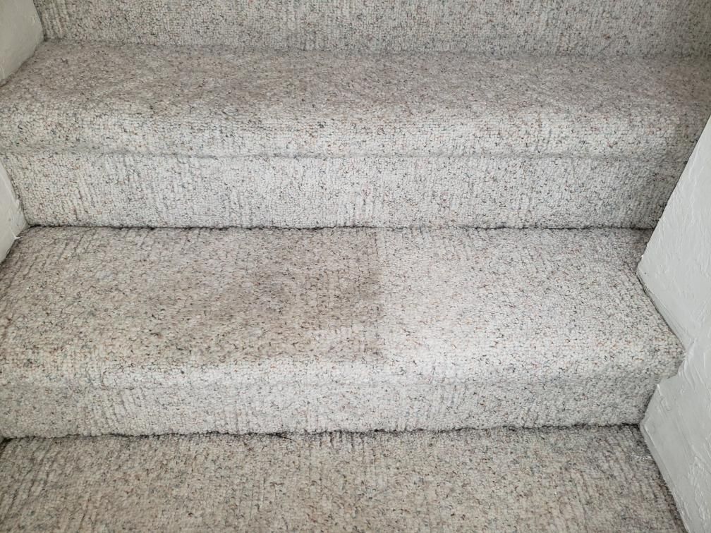 Vacuum cleaner head on a beige carpet, cleaning the floor