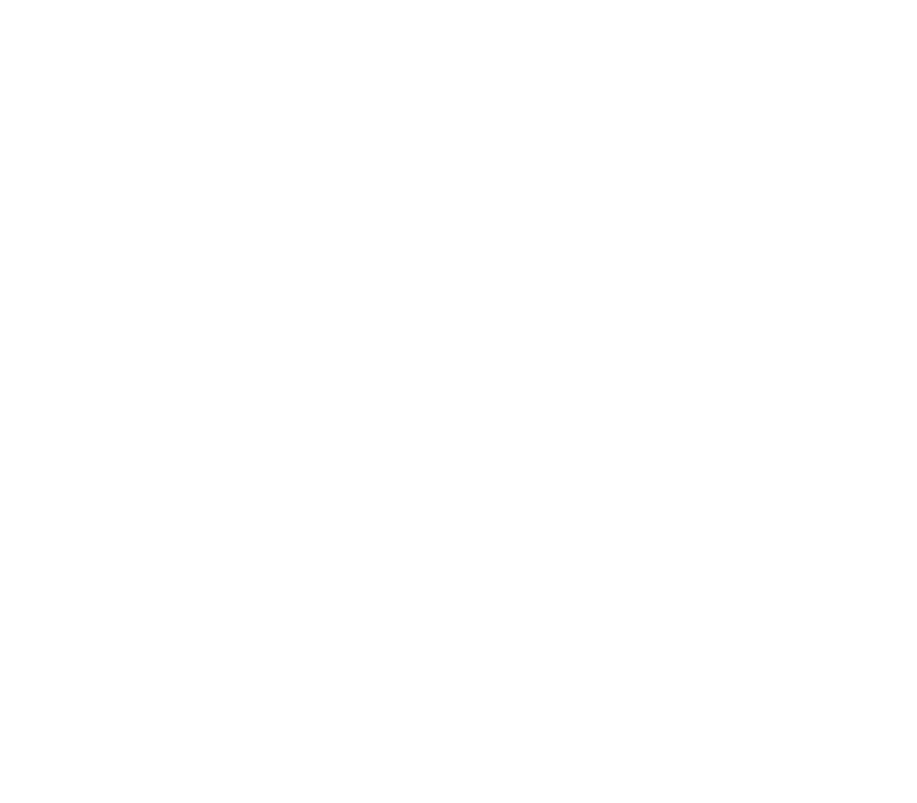 Pannonia Gravel Logo - für Gravel, Crosser & Mountainbike