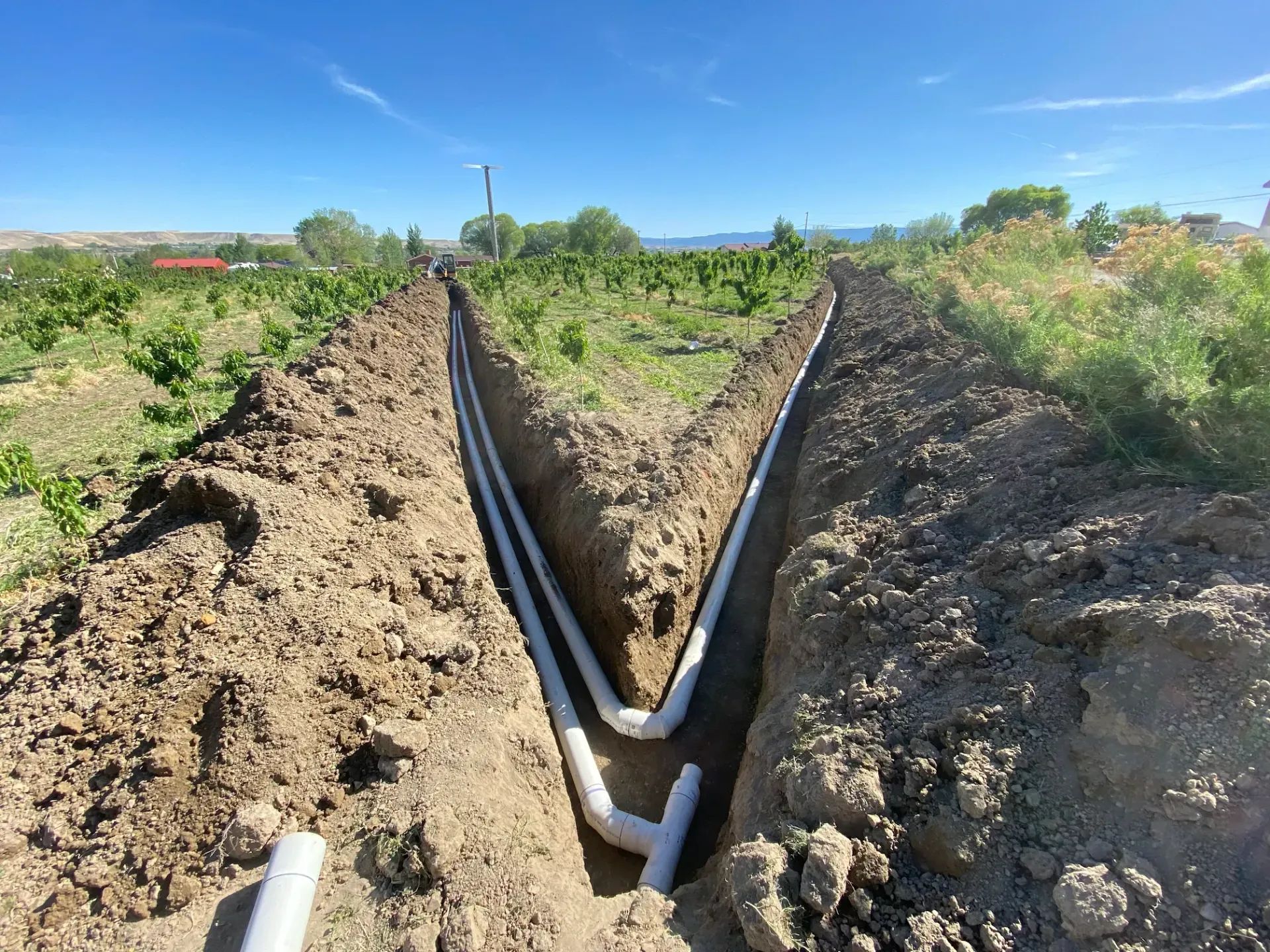 Trenches in dirt hold white PVC pipes; vineyard in the background under a blue sky.