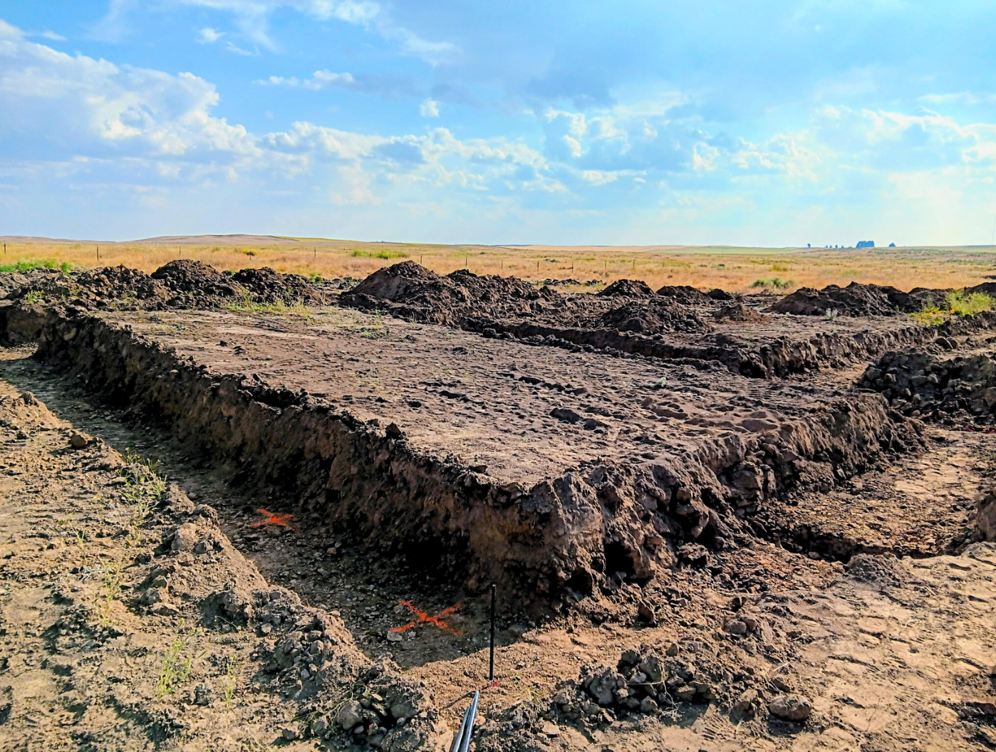 Freshly dug dark soil mounds in a flat field under a bright blue sky
