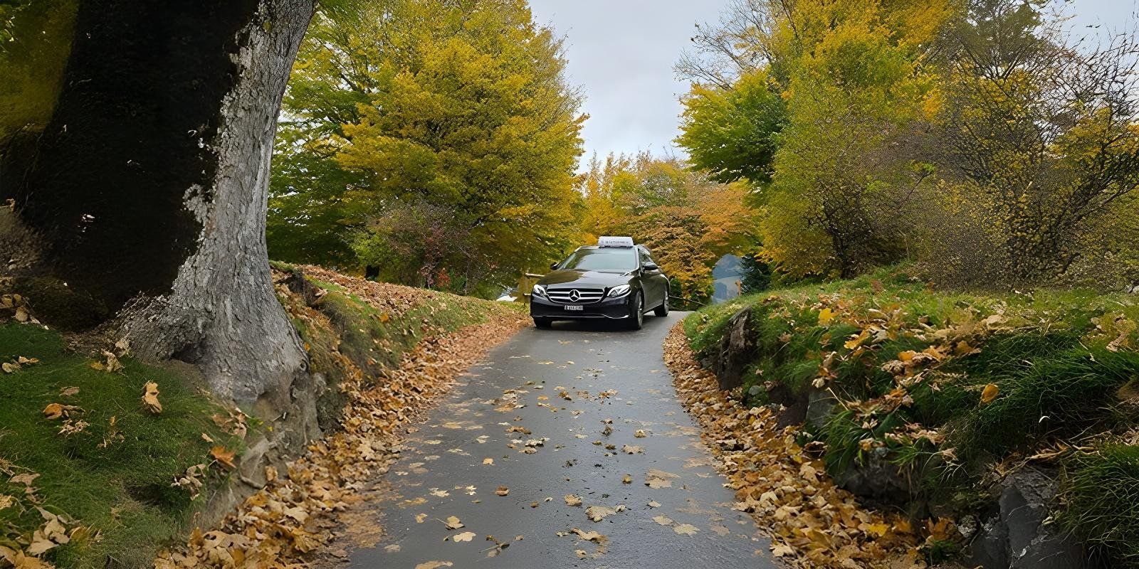 Black car drives on a wet road in autumn, lined with trees and fallen leaves.