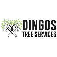 Dingo's Tree Services