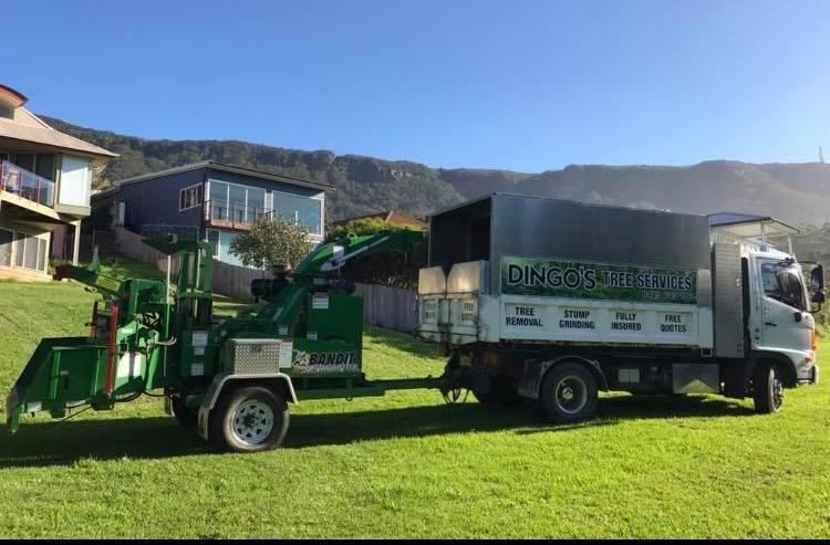A Truck With a Wood Chipper Attached to It is Parked in a Grassy Field — Dingo's Tree Services In North Wollongong, NSW