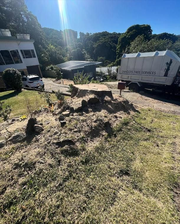 A Garbage Truck is Parked in Front of a House — Dingo's Tree Services In North Wollongong, NSW