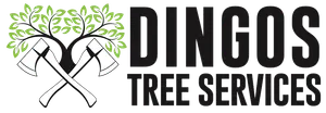 Tree Cutting Services in Wollongong Tree Cutting Services in Wollongong