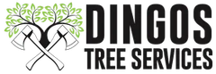Tree Cutting Services in Wollongong Tree Cutting Services in Wollongong