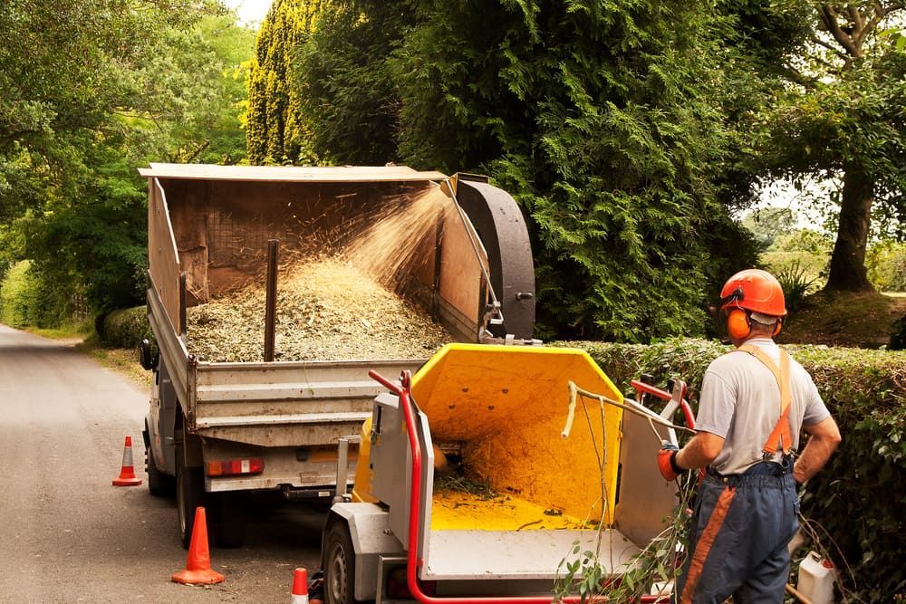 A Man is Standing Next to a Tree Chipper on the Side of a Road — Dingo's Tree Services In Woonona, NSW