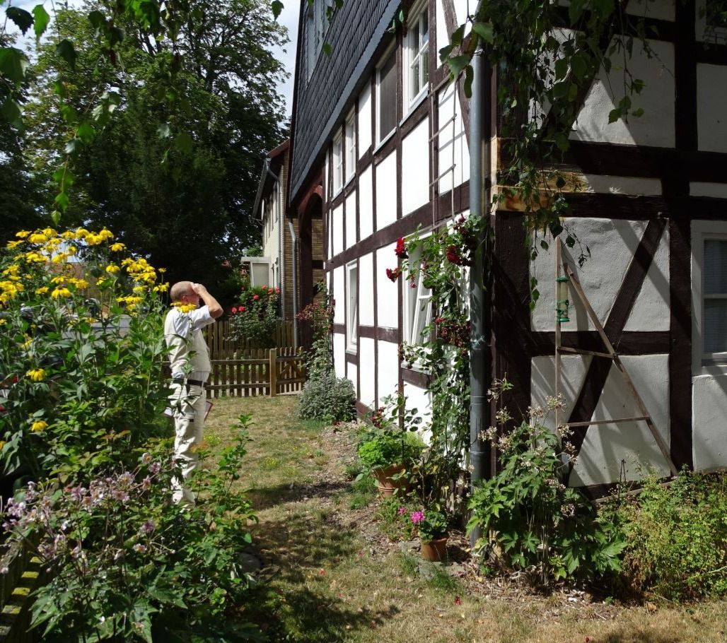 Das Bild zeigt ein Fachwerkhaus von außen