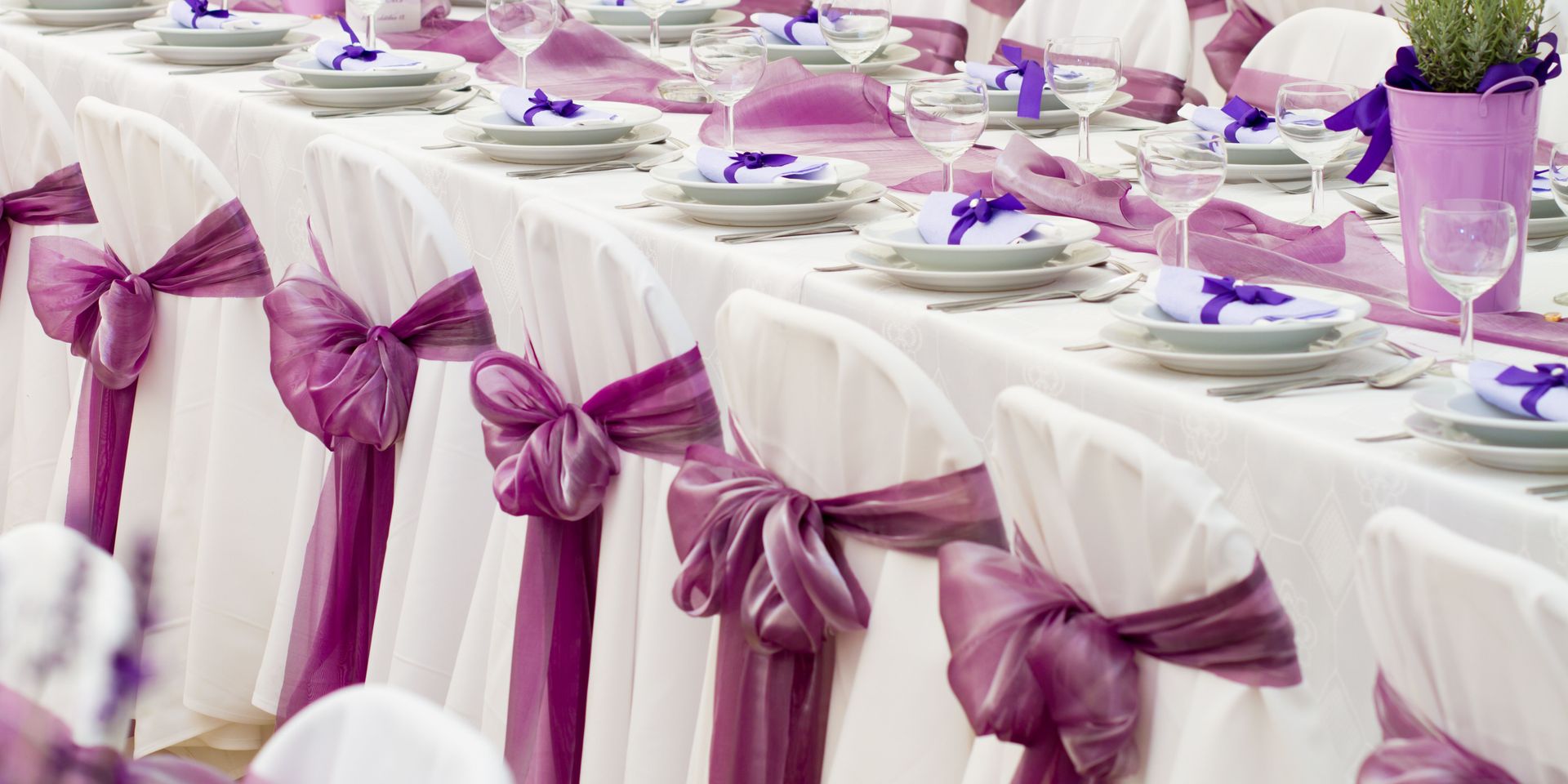 Chair Rentals Saratoga Springs, NY 5187912830