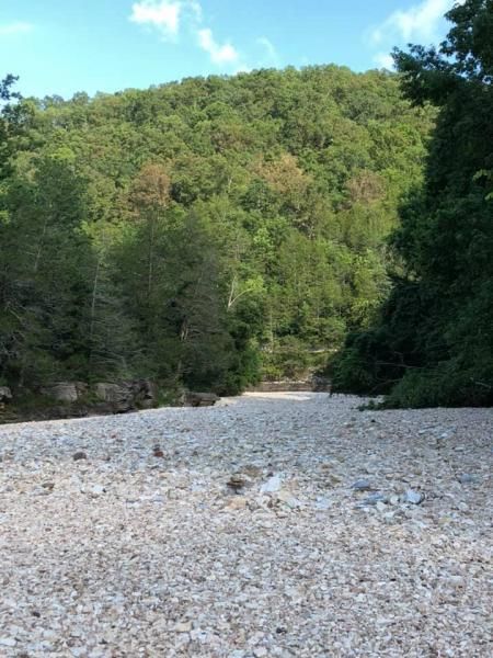 Rocky riverbed leading to a wooded green hillside under a clear sky