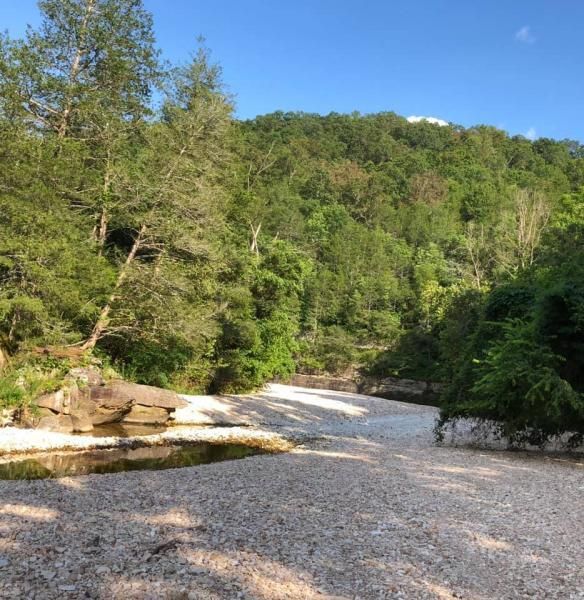 Pebble riverbank with shallow water beside a lush green hillside under a blue sky