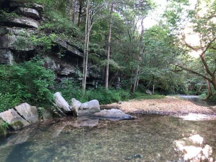 Shallow rocky creek beside a forest trail, with sunlit water and trees overhanging the bank