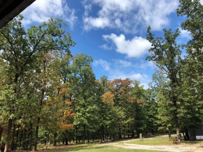 Tree-lined park path under a blue sky with scattered clouds, green and orange autumn foliage