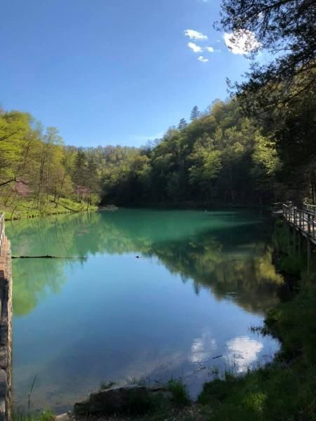 Calm turquoise pond reflecting blue sky and trees beside a wooded path in sunlight
