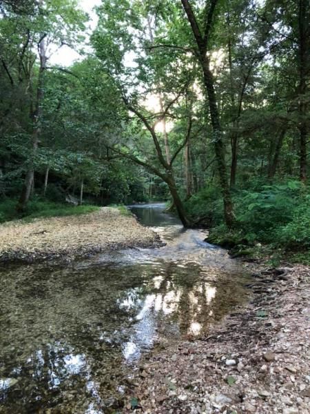 Shallow forest stream with pebbled banks and trees reflecting in the water