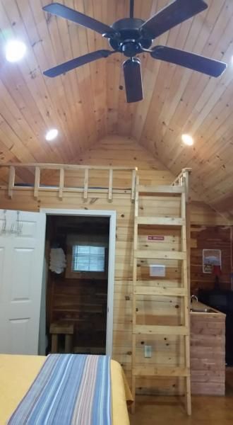 Lofted wood cabin interior with ceiling fan, ladder, bunk bed, and striped table below