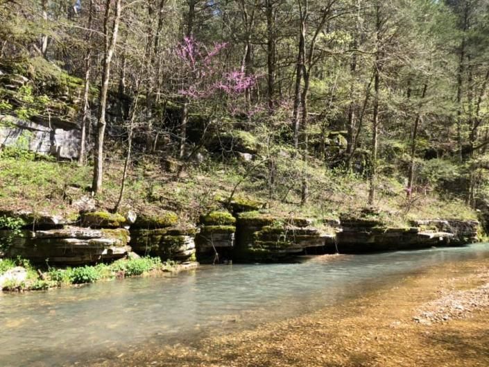 Wooded creek with clear water, mossy rocks, and early spring trees along the bank