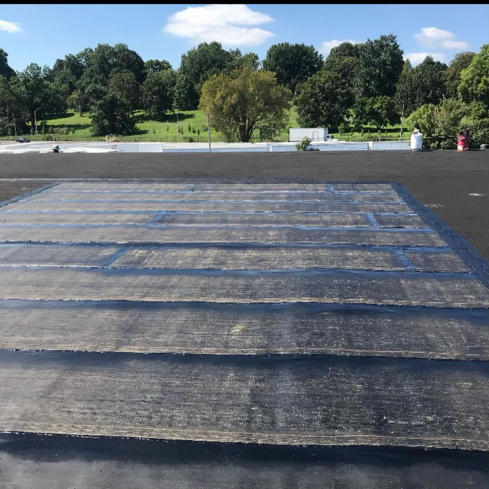 Black rooftop with painted grid pattern, trees in background under a blue sky.