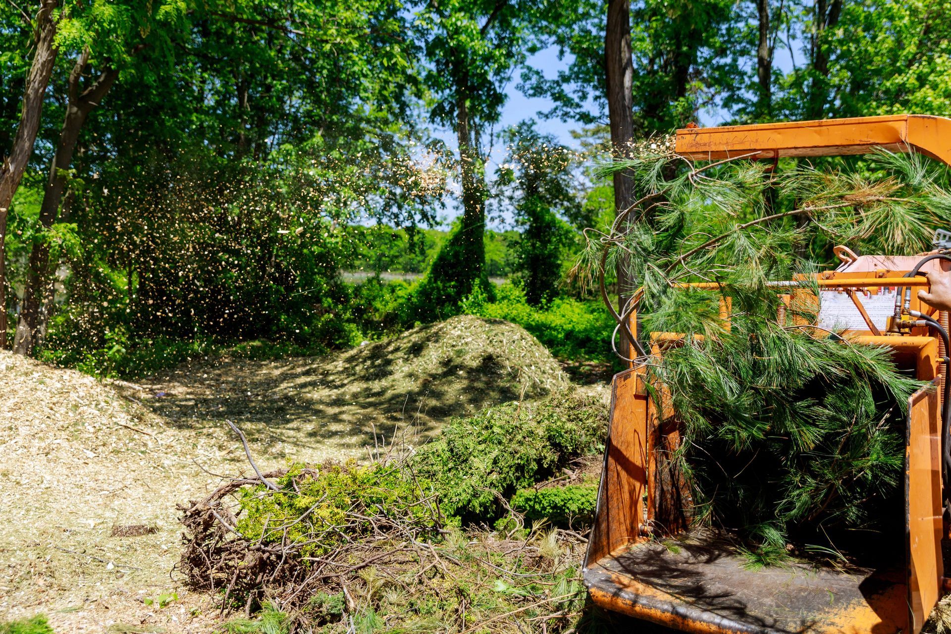 Forestry Mulching in Pineville, LA