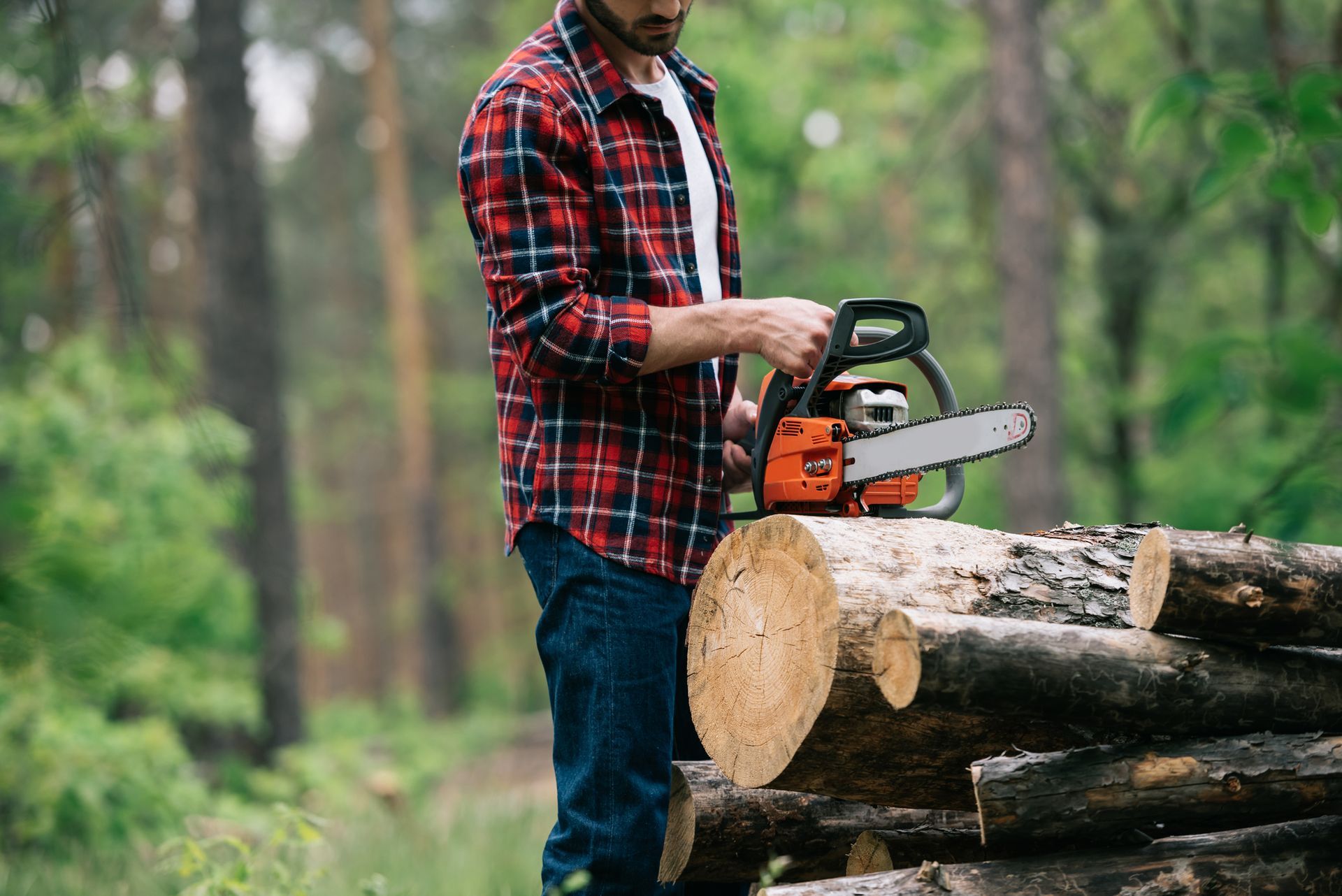 Tree Removal in Pineville, LA