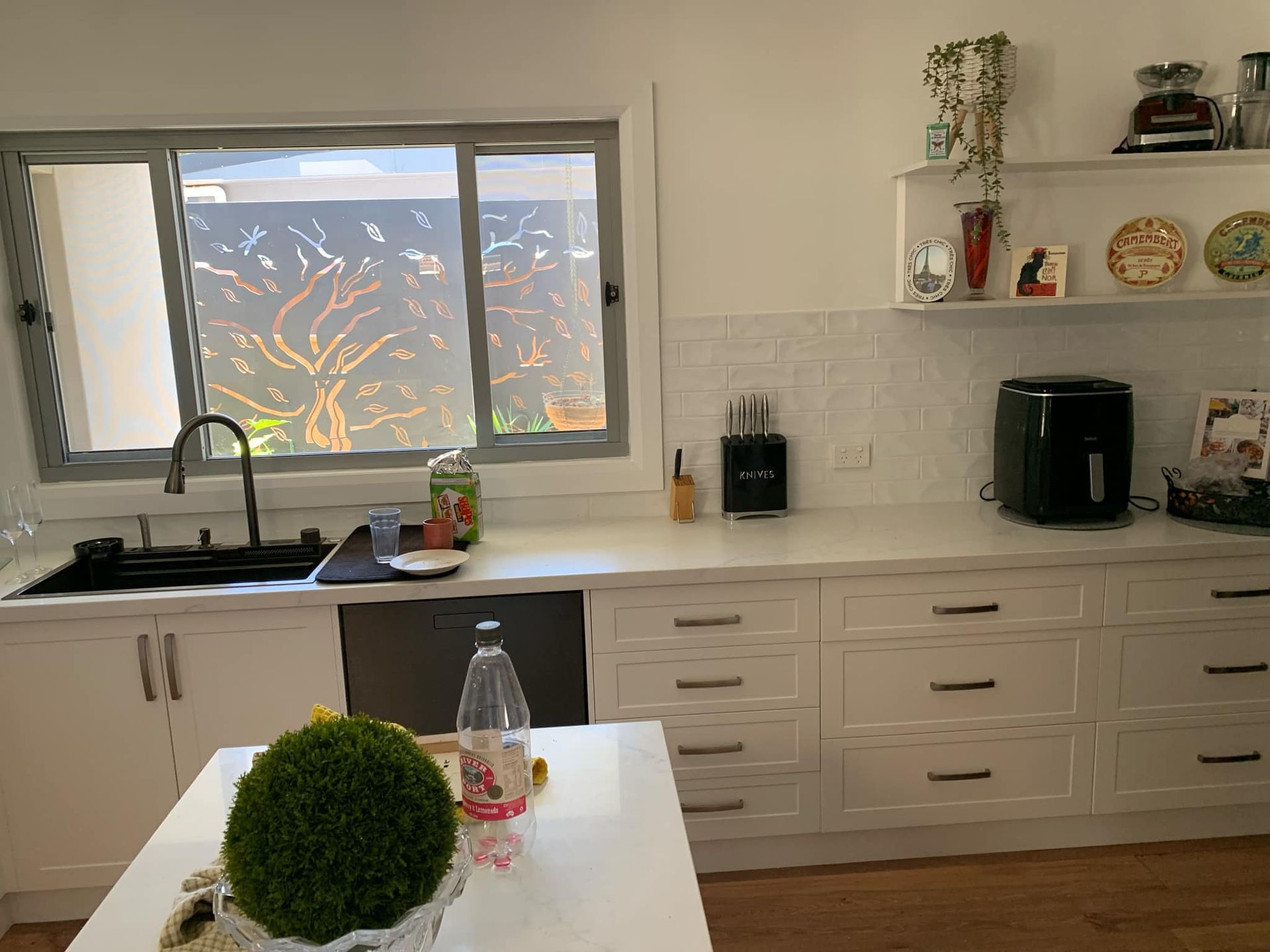 White kitchen with a window, countertop, and cabinets. An island with a plant is in the foreground.