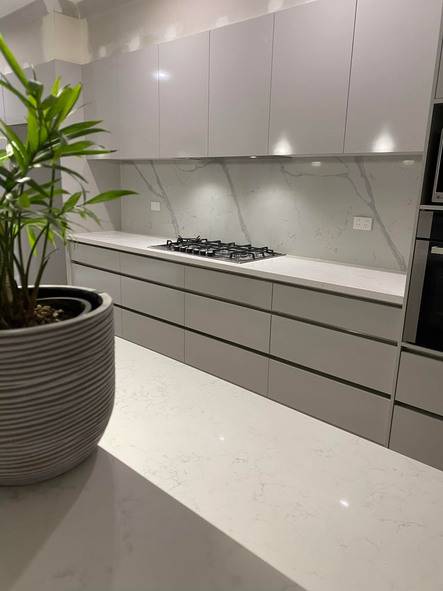 Modern kitchen with light grey cabinets, marble countertops, and a potted plant.