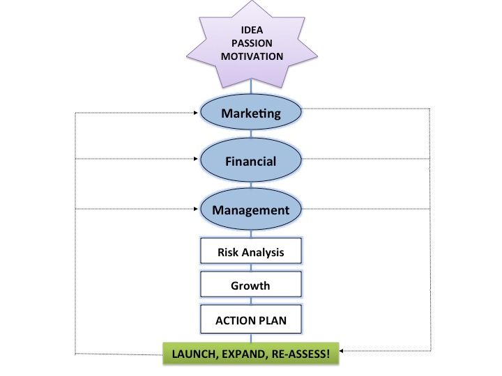 Flowchart with star labeled “Idea Passion Motivation” above blue ovals for Marketing, Financial, and Management, ending in action plan.