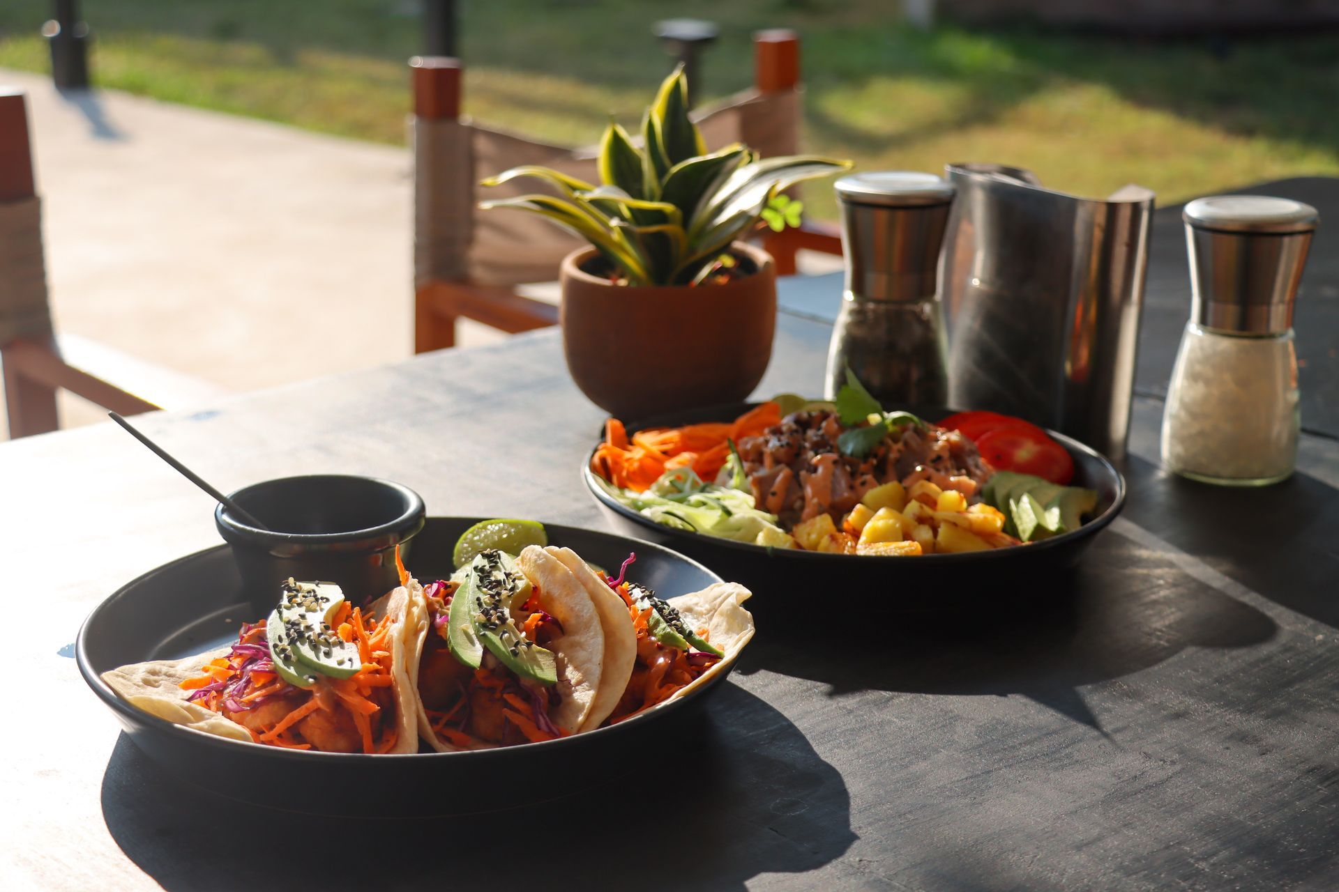 Dos platos de comida colorida sobre una mesa soleada al aire libre con una planta en maceta y condimentos.