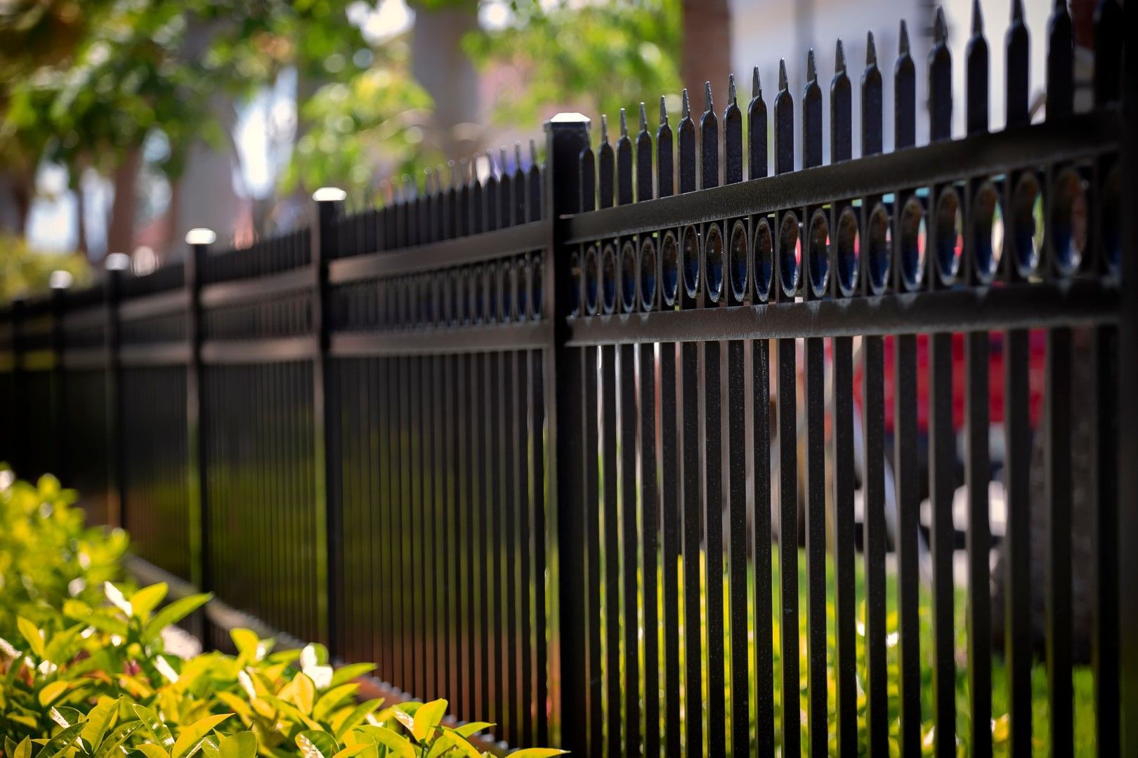Black metal fence with decorative top, in front of green bushes.