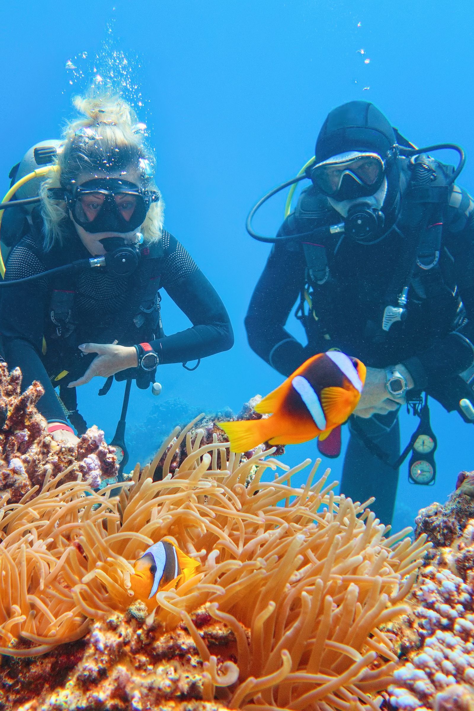 Activities at Wymara Resort + Villas, Turks and Caicos