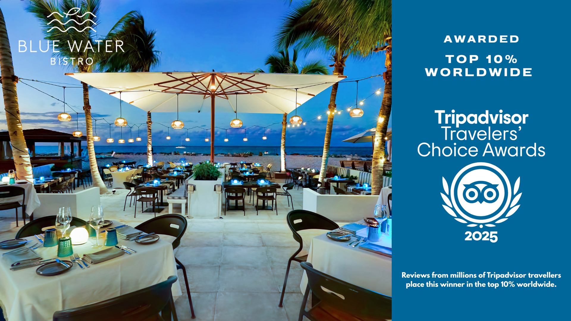 Blue Water Bistro Awarded Top 10% World wide by Trip Advisor Traveler's Choice Awards