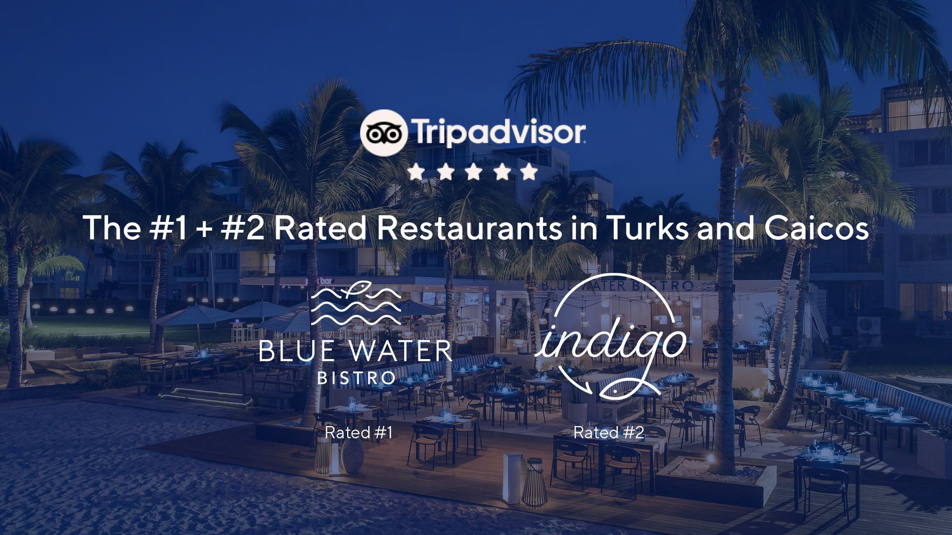 A tripadvisor ad for indigo restaurant and blue water bistro in turks and caicos