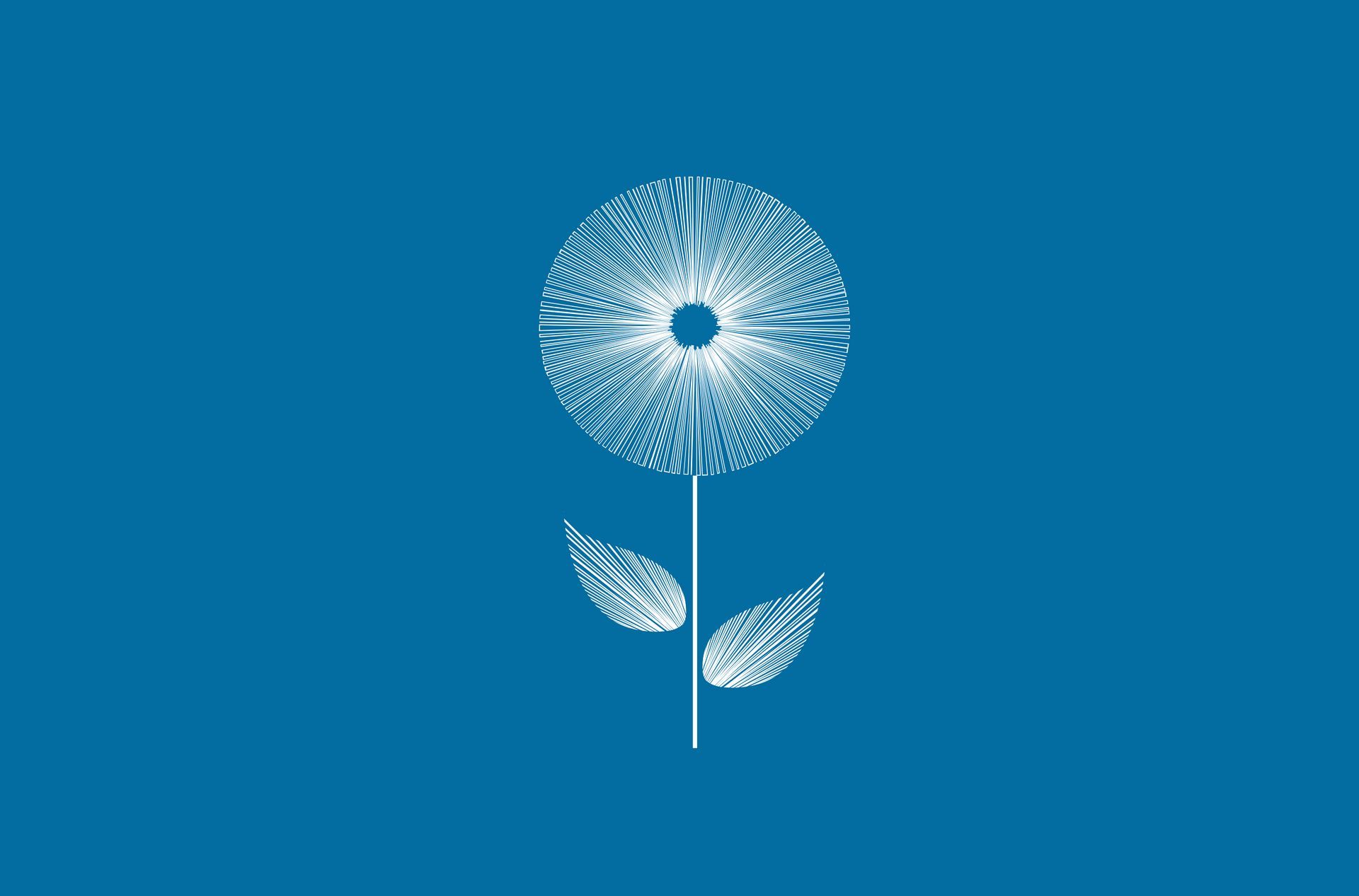A dandelion with two leaves on a blue background
