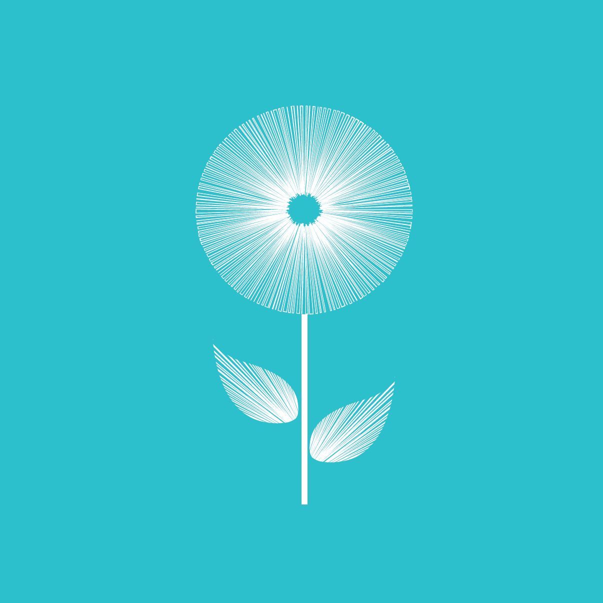 A white flower with leaves on a blue background